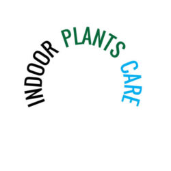 indoor plants care